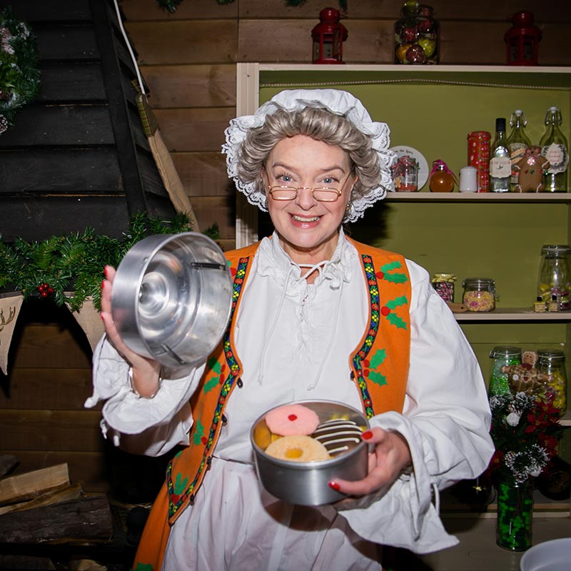 Mrs Claus in her kitchen