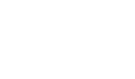 Bluey & Bingo Logo