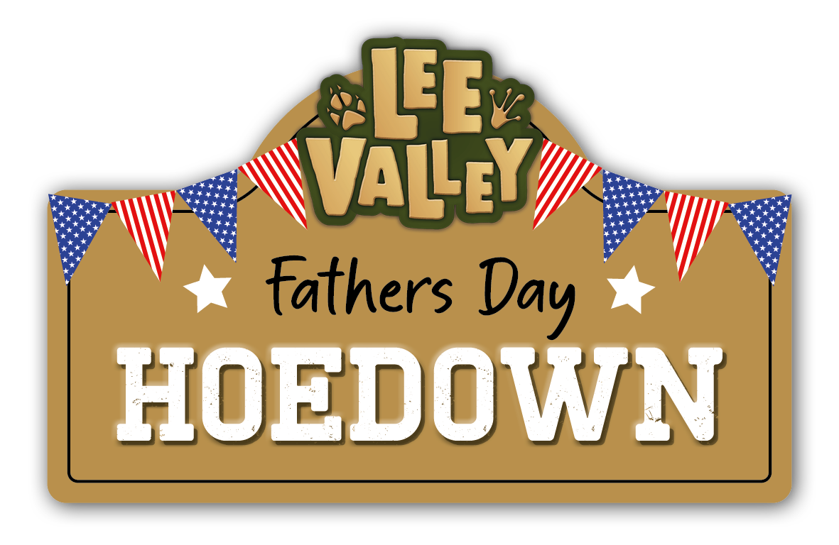 The Fathers Day Hoedown Logo
