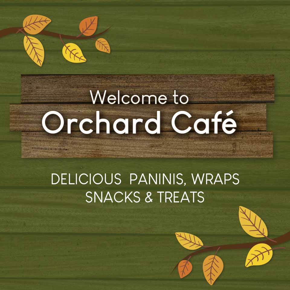 Orchard Cafe serving delicious paninis, wraps, snacks and treats