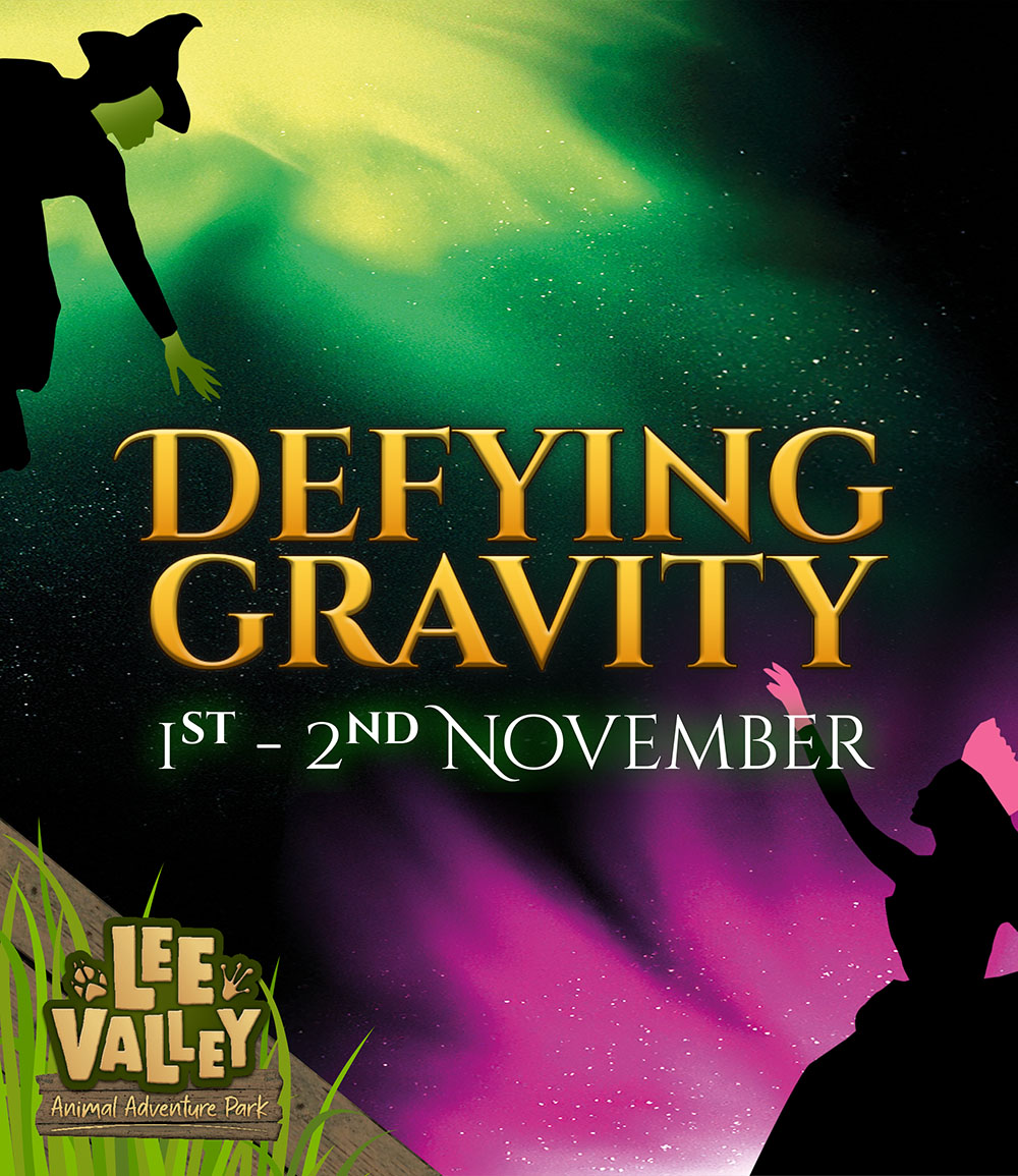 Defying Gravity Weekend 